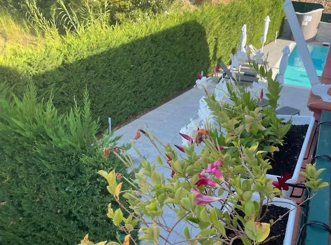 Frühstückspension Fabrizia Diamante