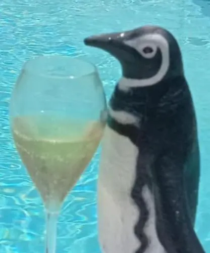 Fabrizia Alojamento de Acomodação e Pequeno-almoço